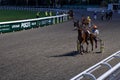 Antibes, France. 17.08.2020 Horses trotter breed in motion on hippodrome. Harness horse racing.