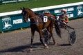 Antibes, France. 17.08.2020 Horses trotter breed in motion on hippodrome. Harness horse racing. Royalty Free Stock Photo