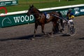 Antibes, France. 17.08.2020 Horses trotter breed in motion on hippodrome. Harness horse racing. Royalty Free Stock Photo