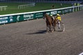 Antibes, France. 17.08.2020 Horses trotter breed in motion on hippodrome. Harness horse racing.