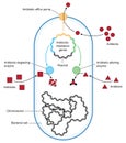 Antibiotic resistance