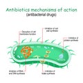 Antibiotics mechanisms of action. antibacterial drugs