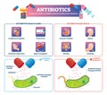 Antibiotics vector illustration. Labeled health medication treatment scheme