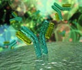 Antibodies, a beautiful scientific abstract background