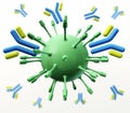 Antibodies, immunoglobulins, the immune Royalty Free Stock Photo