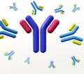 Antibodies, immunoglobulins, the immune Royalty Free Stock Photo