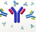 Antibodies, immunoglobulins, the immune