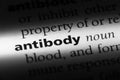 antibody