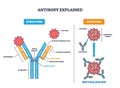 Antibody explained, Y-shaped protein binds antigen to neutralize a Royalty Free Stock Photo