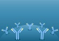 Antibody. Immunoglobulin IgE or IgG