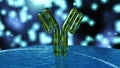 Antibody, immunoglobulins, 3d rendering