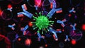 Antibody, immunoglobulins, 3d rendering