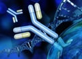 Antibody, immunoglobulins and DNA helix Royalty Free Stock Photo