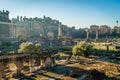 Antic forum in Rome