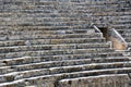 Antic stadium at Hierapolis Royalty Free Stock Photo