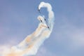 Antidotum Airshow Leszno 2023 and acrobatic shows full of smoke of The Fyling Bulls Acrobatic Team