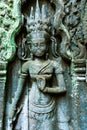 Antient reliefs of dancer, Ta Prohm Temple in Angkor Wat complex, Cambodia