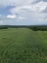 Antietam Battlefield, Sharpsburg Maryland