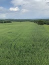 Antietam Battlefield, Sharpsburg Maryland Royalty Free Stock Photo