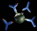 Antigen molecule. Lock and key principle