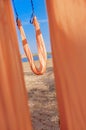 Antigravity yoga outdoors. Hammock relax.