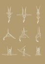 Antigravity yoga poses