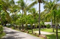 Antigua, Caribbean islands, Idyllic tropical palm garden in the the Freeman`s bay