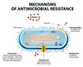 Antimicrobial resistance