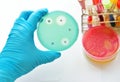 Antimicrobial susceptibility testing