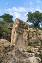 Antiochus and Heracles Shaking Hands