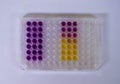 Antioxidant assay