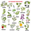 Antioxidant foods and herbs