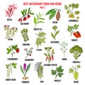 Antioxidant foods and herbs