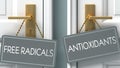 Antioxidants or free radicals as a choice, pictured as words free radicals, antioxidants on doors to show that these are opposite Royalty Free Stock Photo