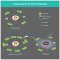 Antioxidants & Radicals. Royalty Free Stock Photo