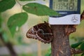 Antipa Museum - Butterfly Expo