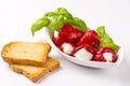 Antipasti mit Zwieback Royalty Free Stock Photo