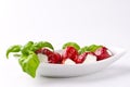 Antipasti mit Zwieback Royalty Free Stock Photo