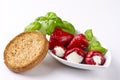 Antipasti mit Zwieback Royalty Free Stock Photo