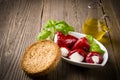 Antipasti mit Zwieback Royalty Free Stock Photo