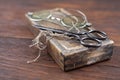 Antique accessories wooden box, old vintage retro scissors and pince-nez Royalty Free Stock Photo