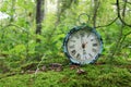 Antique alarm clock on a moss covered rock in a summer green for Royalty Free Stock Photo