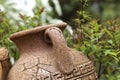 Antique amphora in the garden Royalty Free Stock Photo