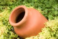 Antique Amphora in the garden Royalty Free Stock Photo