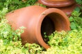 Antique Amphora in the garden Royalty Free Stock Photo