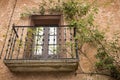 Antique balcony with a tree-creeper on a brown wall Royalty Free Stock Photo