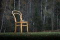 Antique Bentwood Viennese chair