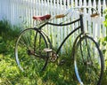 Antique Bicycle Royalty Free Stock Photo