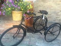Antique bicycle with flower basket Royalty Free Stock Photo