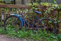 Blue and Purple Antique Bicycle